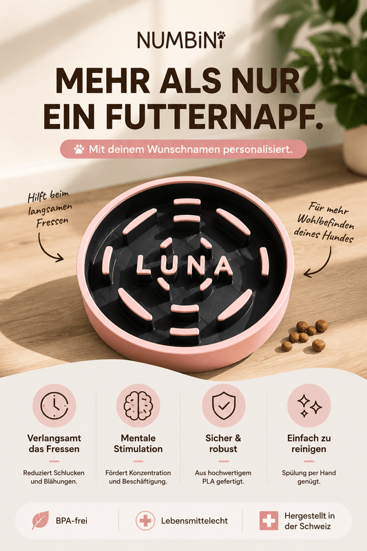 Personalisierter Antischlingnapf für Hunde mit Namen von Numbini Vorteile