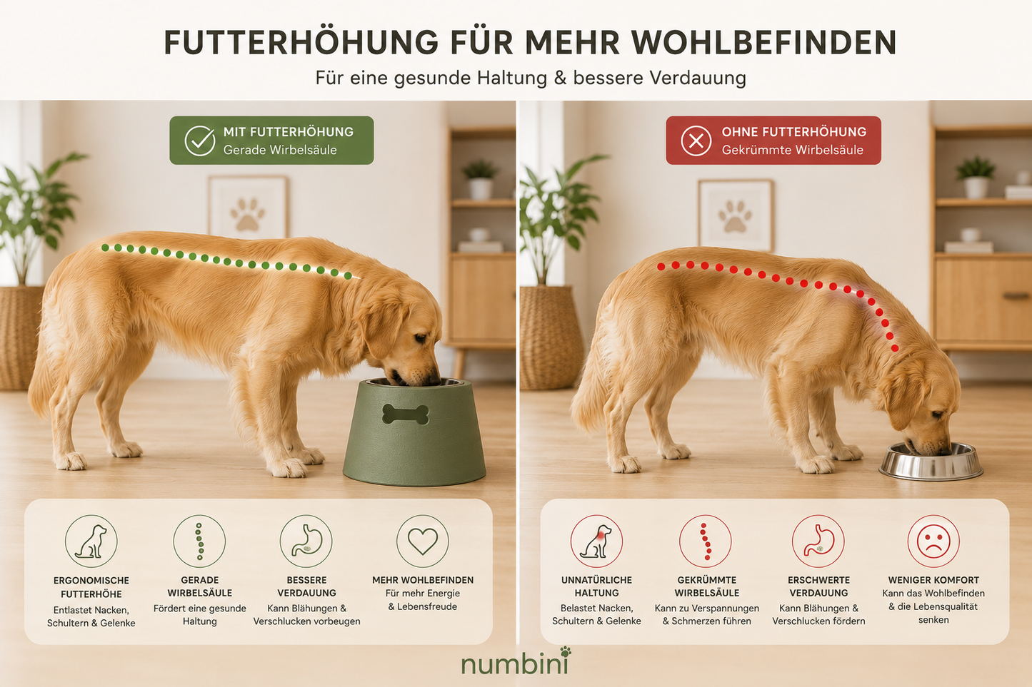 Erhöhte Futternapfhalterung für Hunde - Numbini