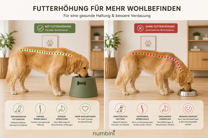 Erhöhte Futternapfhalterung für Hunde - Numbini