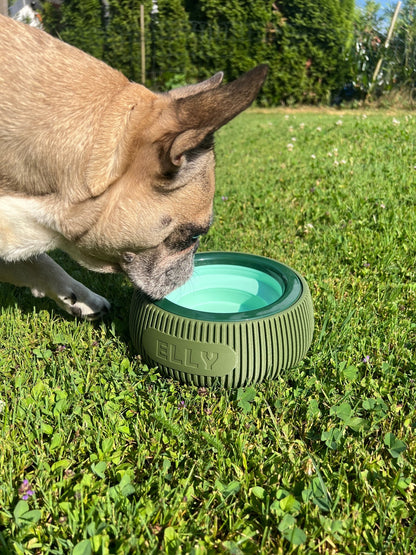 Personalisierte Napfhalterung für Hunde und Katzen - Numbini