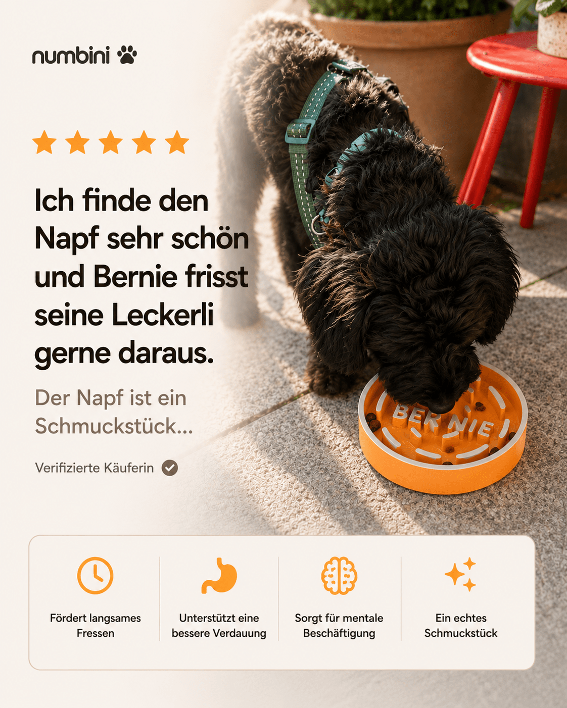 Personalisierter Antischlingnapf für Hunde mit Namen von Numbini Bewertung