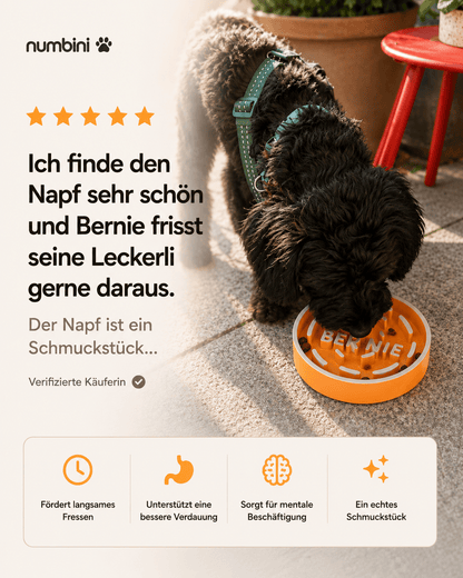 Personalisierter Antischlingnapf für Hunde mit Namen von Numbini Bewertung